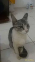 Não Tem