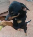 Vampeta
