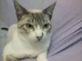 Pricesa