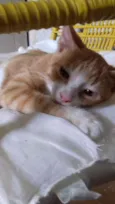 Hunter