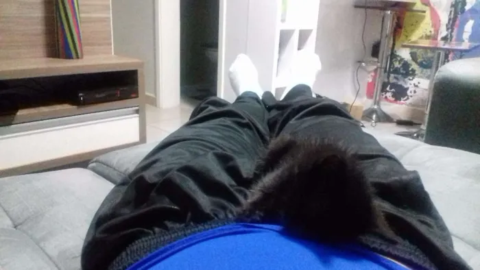 Gato ra a  idade Abaixo de 2 meses nome Bia