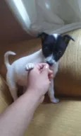 ritinha