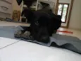 Cloe