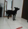 Cloe