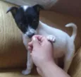 ritinha