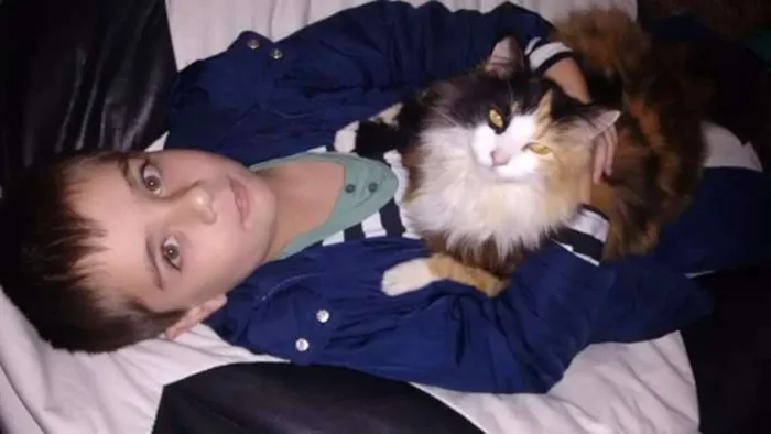 Gato ra a Sem raça idade 1 ano nome Mikau