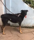 Bella
