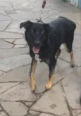 Bella