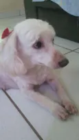 Megui
