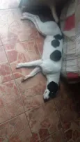 Princesa