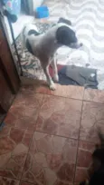 Princesa