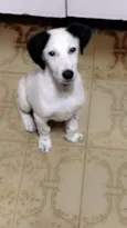 Spark