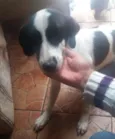 Princesa