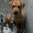 Zeca