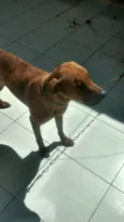 Ben