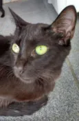 Dandara e Gris