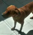 Ben