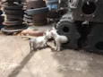 Gato
