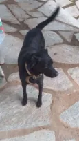 APOLLO
