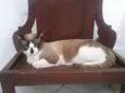 Belinha,Zé Aldo