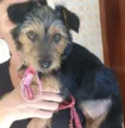 Lupita