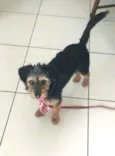 Lupita