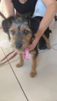 Lupita