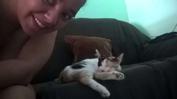 Gato raça mestiça idade 2 a 6 meses nome Rana