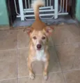 BOB