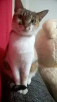 Mia