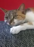 Mia