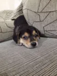 Marley