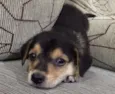 Marley