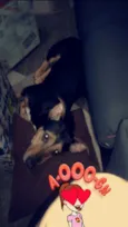 Rafael
