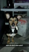 Rafael