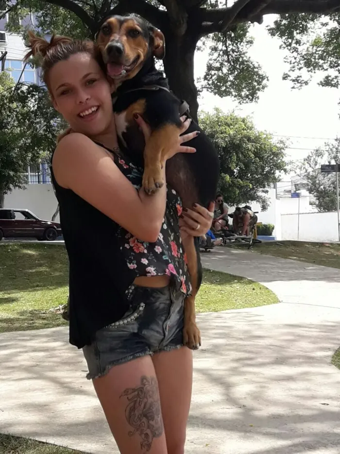 Cachorro ra a viralata idade 3 anos nome Rafael