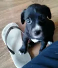 Théo