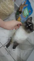 Não tem