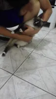 Não tem
