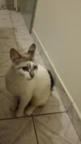 não tem