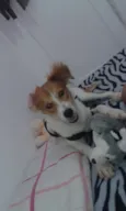 Spike