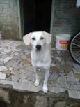 Marley