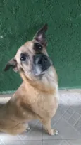 Meg
