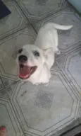 Nuvenzinha