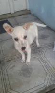 Nuvenzinha