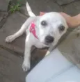 Nuvenzinha