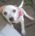 Nuvenzinha