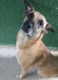 Meg