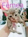 sem nome