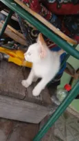 Zeus